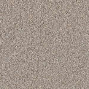 Dreamweaver Carpet Can'T Miss Shadows Carpet 4748_826