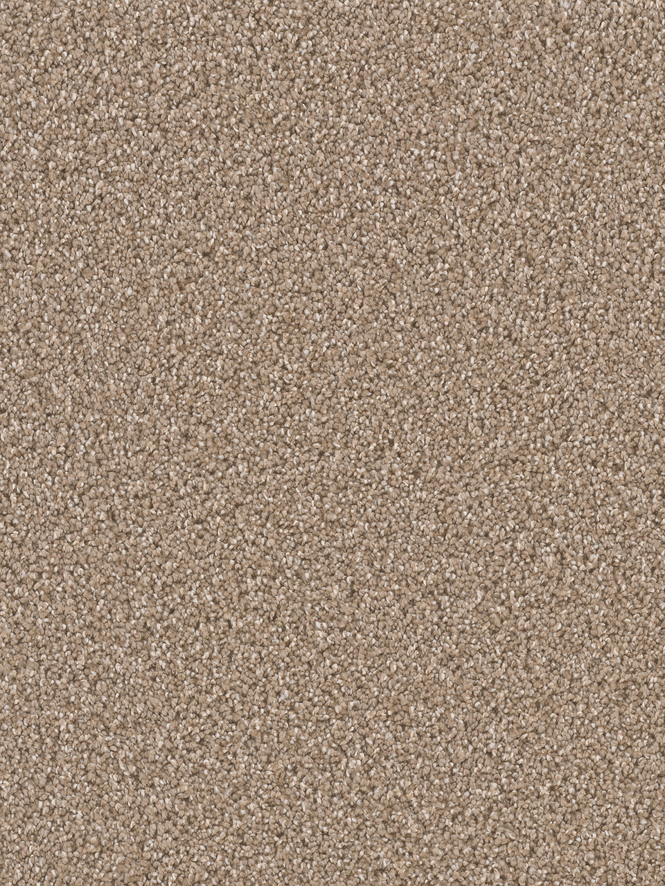 Dreamweaver Carpet Can'T Miss Acorn Carpet 4748_858