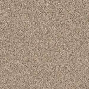 Dreamweaver Carpet Can'T Miss Tumbleweed Carpet 4748_883