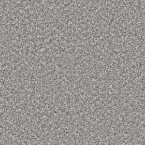 Dreamweaver Carpet Can'T Miss Moonstone Carpet 4748_903