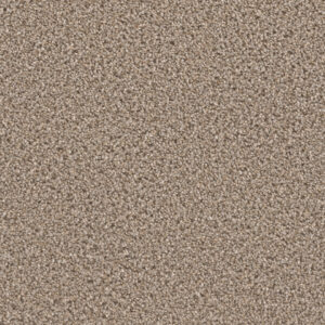 Dreamweaver Carpet Can'T Miss Ash Carpet 4748_945