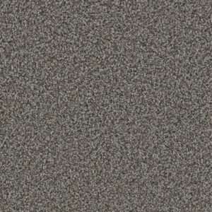 Dreamweaver Carpet Can'T Miss Magma Carpet 4748_958