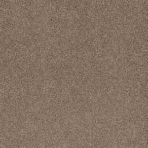 Dreamweaver Carpet Stunning Straw Carpet 4765_551