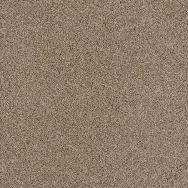 Dreamweaver Carpet Stunning Ginger Carpet 4765_726