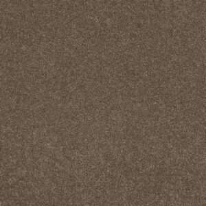 Dreamweaver Carpet Stunning Peppercorn Carpet 4765_753