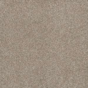 Dreamweaver Carpet Stunning Seashells Carpet 4765_758
