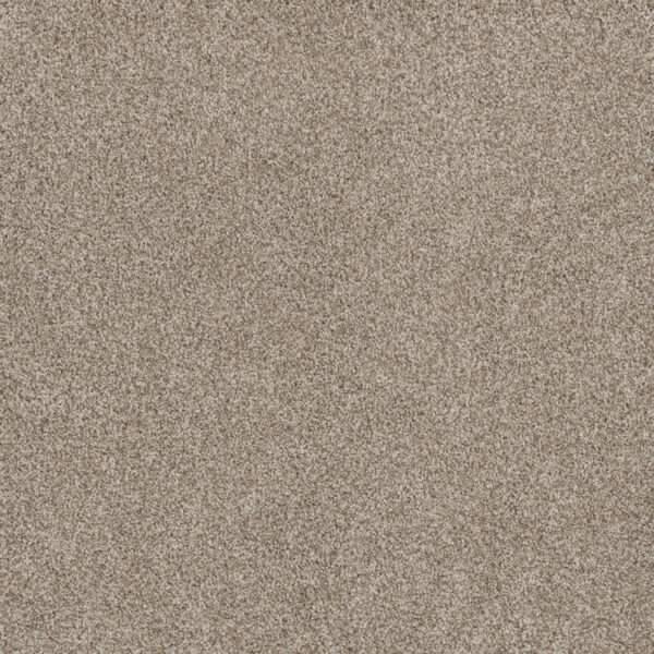 Dreamweaver Carpet Stunning Seashells Carpet 4765_758