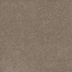 Dreamweaver Carpet Stunning Mocha Carpet 4765_775