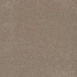 Dreamweaver Carpet Stunning Linen Carpet 4765_824