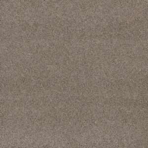 Dreamweaver Carpet Stunning Ash Carpet 4765_945