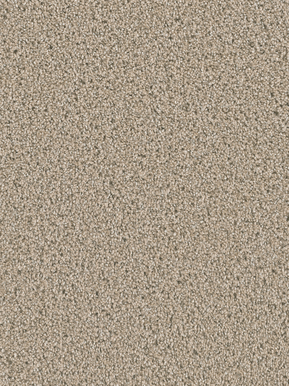 Dreamweaver Carpet Dazzling Ginger Carpet 4775_726