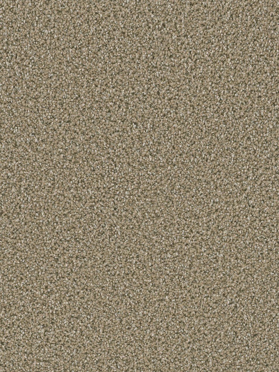 Dreamweaver Carpet Dazzling Wicker Carpet 4775_825