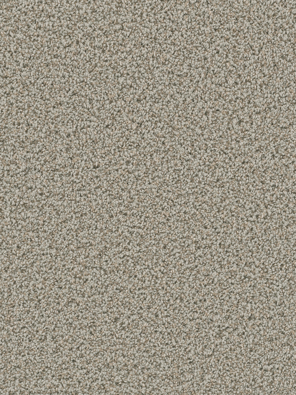 Dreamweaver Carpet Dazzling Stucco Carpet 4775_905