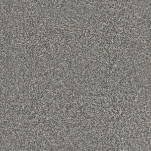 Dreamweaver Carpet Windy City I Millstone Carpet 4929_1970