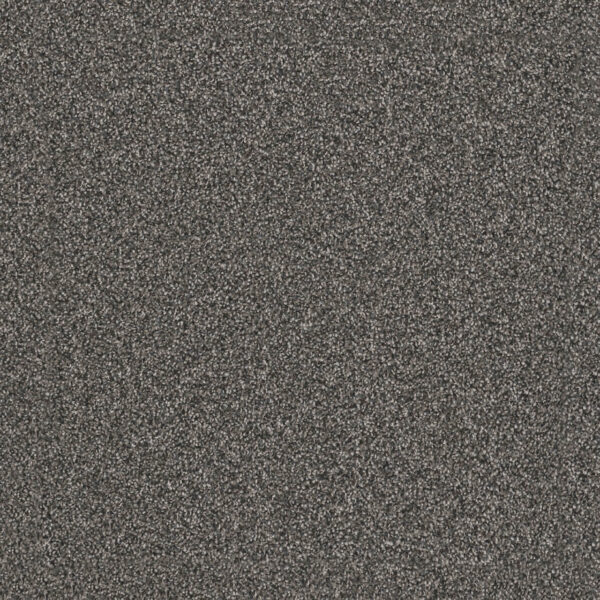 Dreamweaver Carpet Windy City I Smoky Quartz Carpet 4929_4180