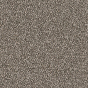 Dreamweaver Carpet Windy City I Autumn Glow Carpet 4929_6030
