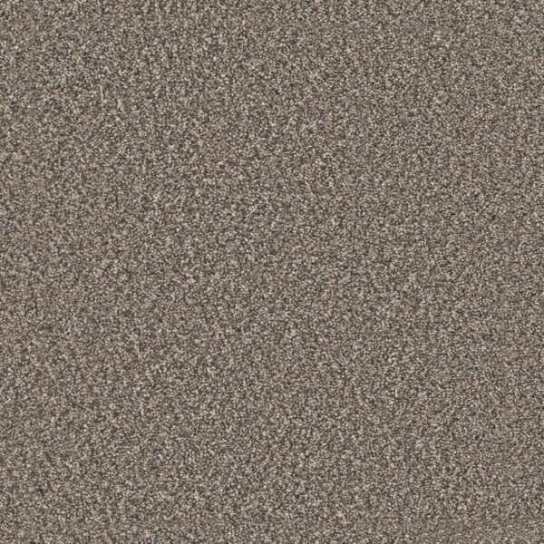 Dreamweaver Carpet Windy City I Autumn Glow Carpet 4929_6030