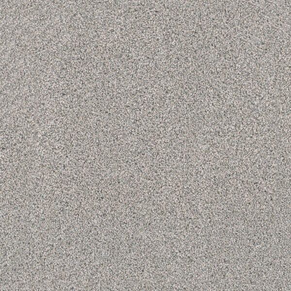 Dreamweaver Carpet Windy City I Marble Glaze Carpet 4929_6048