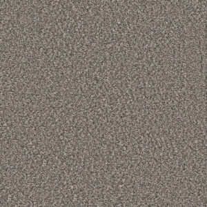 Dreamweaver Carpet Windy City I Olivewood Carpet 4929_6050