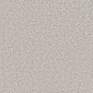 Dreamweaver Carpet Windy City I Polar Cap Carpet 4929_6057