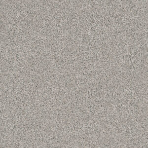 Dreamweaver Carpet Windy City I Falling Star Carpet 4929_6069