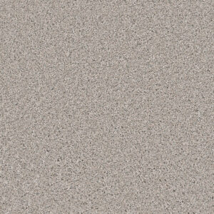 Dreamweaver Carpet Windy City I Antique Fresco Carpet 4929_6076