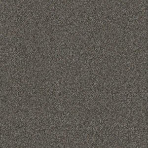 Dreamweaver Carpet Titan I Pinehurst Carpet 4640_132