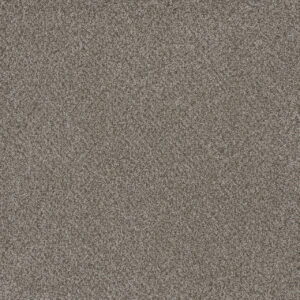 Dreamweaver Carpet Titan I Oakland Carpet 4640_143