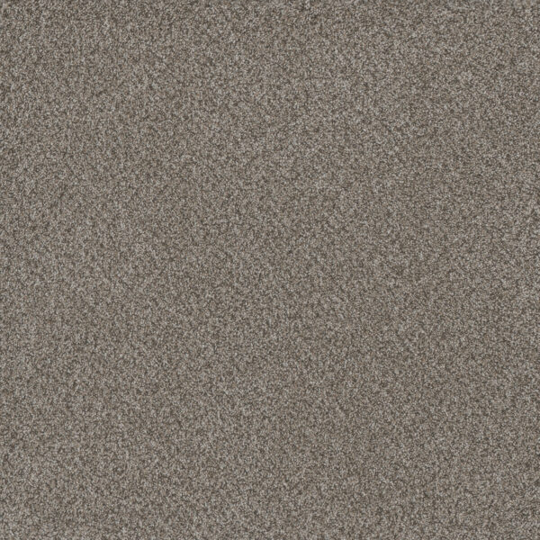 Dreamweaver Carpet Titan I Oakland Carpet 4640_143