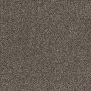 Dreamweaver Carpet Titan I Woodford Carpet 4640_150