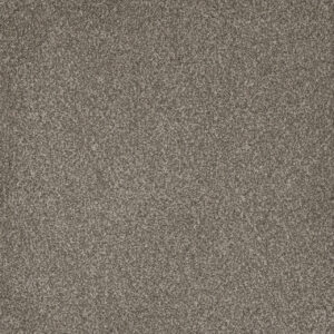 Dreamweaver Carpet Titan I Royal Crown Carpet 4640_227