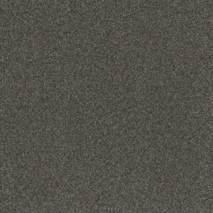 Dreamweaver Carpet Titan I Beacon Hill Carpet 4640_293