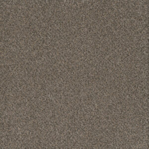 Dreamweaver Carpet Titan I Honeycomb Carpet 4640_335