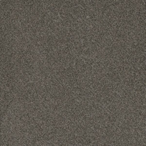 Dreamweaver Carpet Titan I River Crest Carpet 4640_342