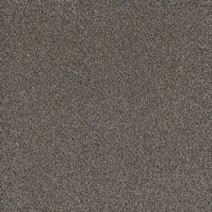 Dreamweaver Carpet Titan I Castle Rock Carpet 4640_387