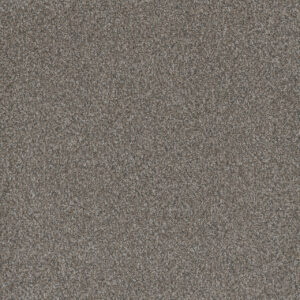 Dreamweaver Carpet Titan I Luna Pearl Carpet 4640_399