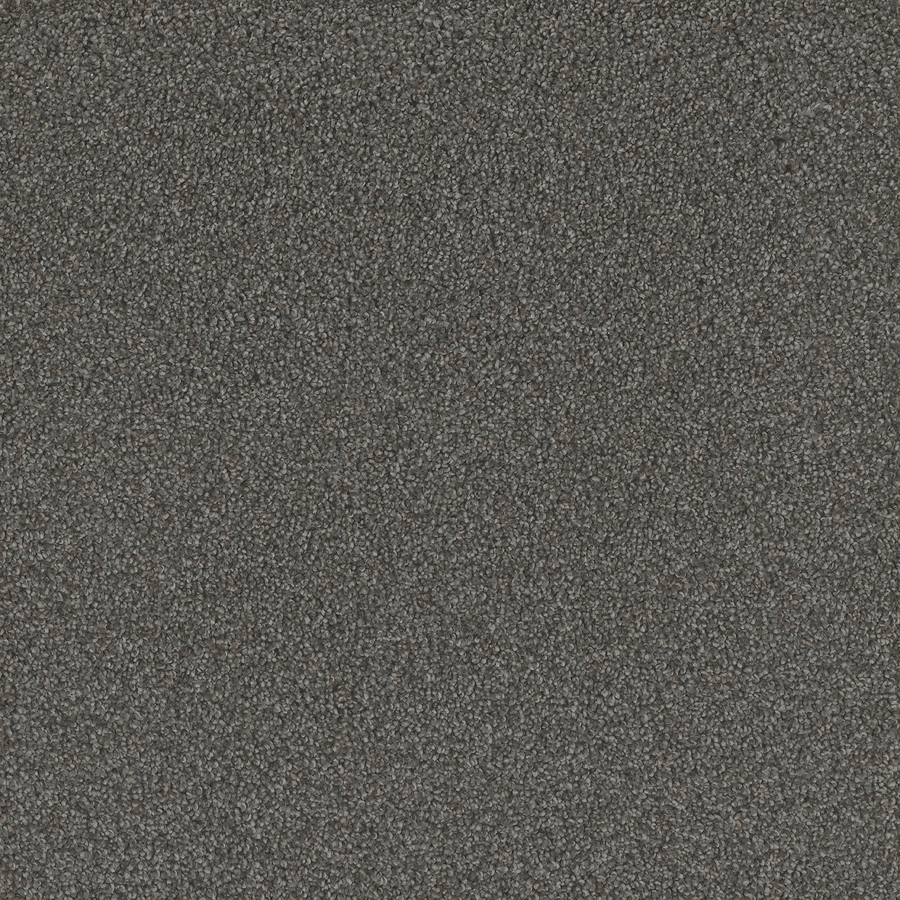 Dreamweaver Carpet No Limits II Warm Shadow Carpet 9346_5001