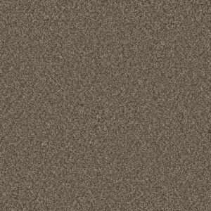 Dreamweaver Carpet Royale III Fawn Carpet 5154_6005