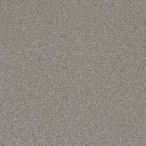 Dreamweaver Carpet Royale III Winterscape Carpet 5154_6040