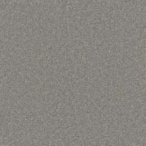 Dreamweaver Carpet Royale III Marble Glaze Carpet 5154_6048