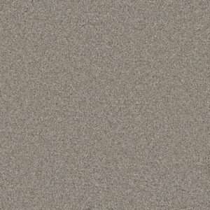 Dreamweaver Carpet Royale III Antique Fresco Carpet 5154_6076