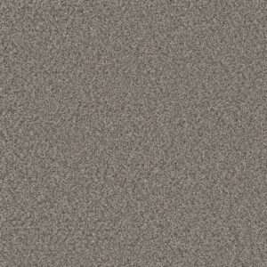 Dreamweaver Carpet Royale III Dogwood Carpet 5154_6077
