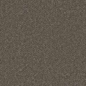 Dreamweaver Carpet Royale III Rugby Carpet 5154_6112