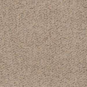 Dreamweaver Carpet Toast Of The Town Winter Blanket Carpet 5315_106