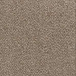 Dreamweaver Carpet Toast Of The Town Natural Cotton Carpet 5315_309