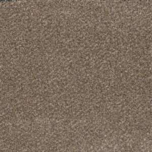 Dreamweaver Carpet Toast Of The Town Marble Heights Carpet 5315_403
