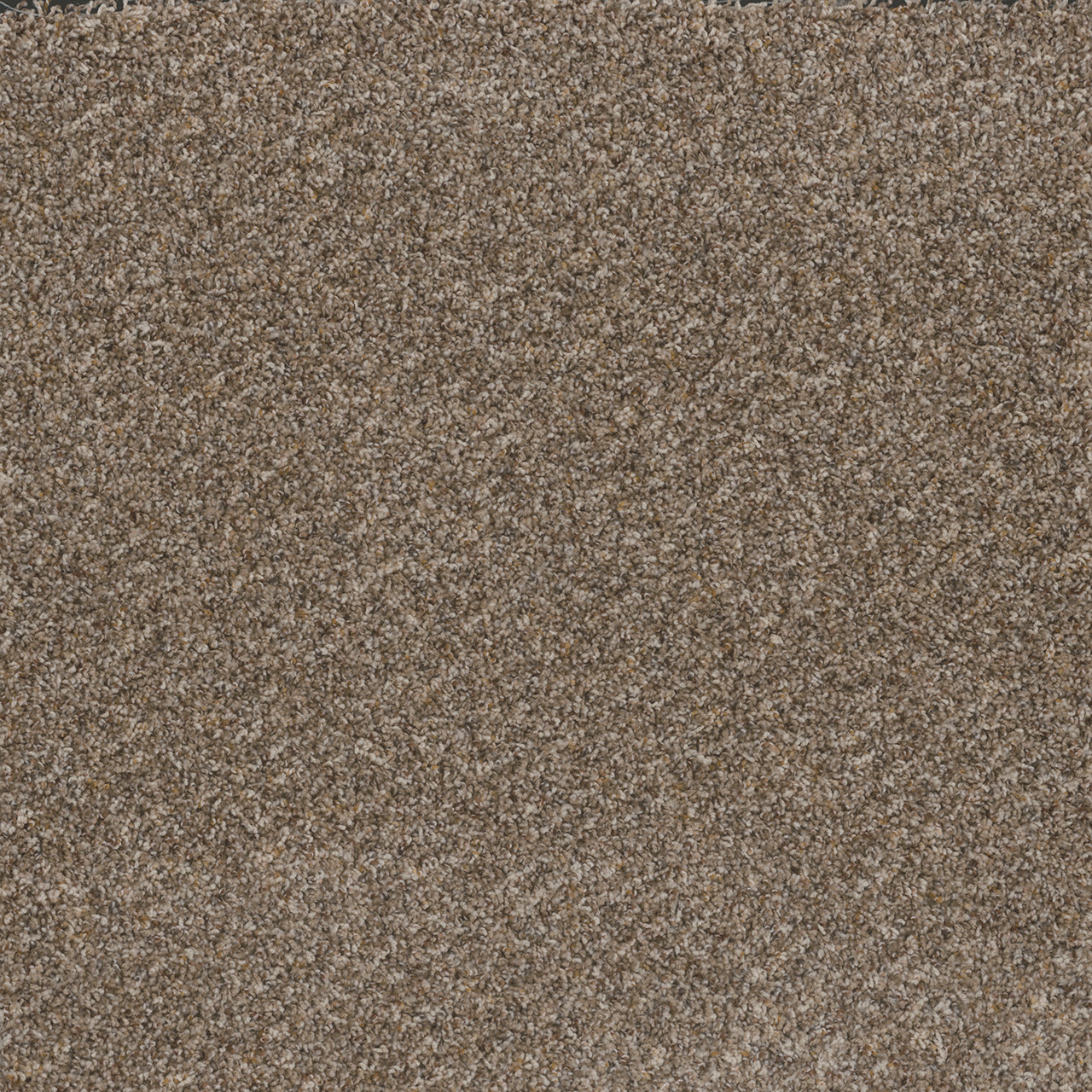 Dreamweaver Carpet Toast Of The Town Marble Heights Carpet 5315_403