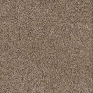 Dreamweaver Carpet Toast Of The Town Briarwood Carpet 5315_503