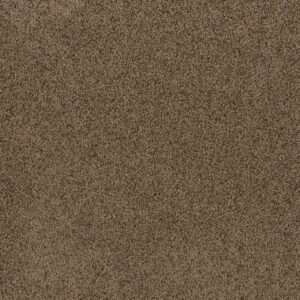 Dreamweaver Carpet Toast Of The Town Sandalwood Carpet 5315_511