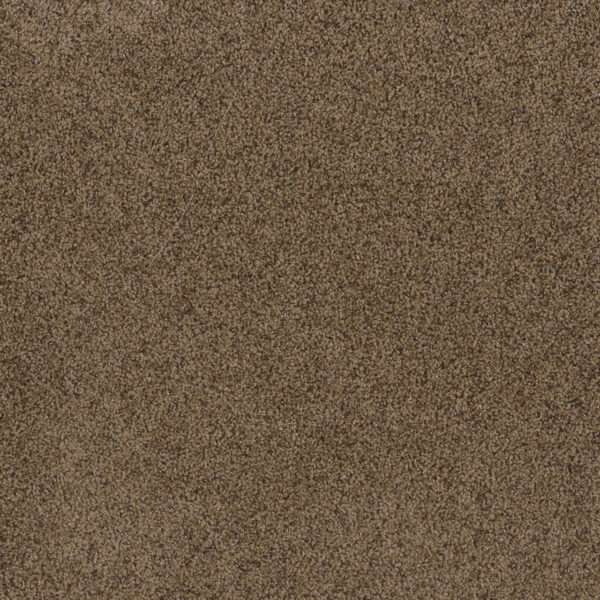 Dreamweaver Carpet Toast Of The Town Sandalwood Carpet 5315_511